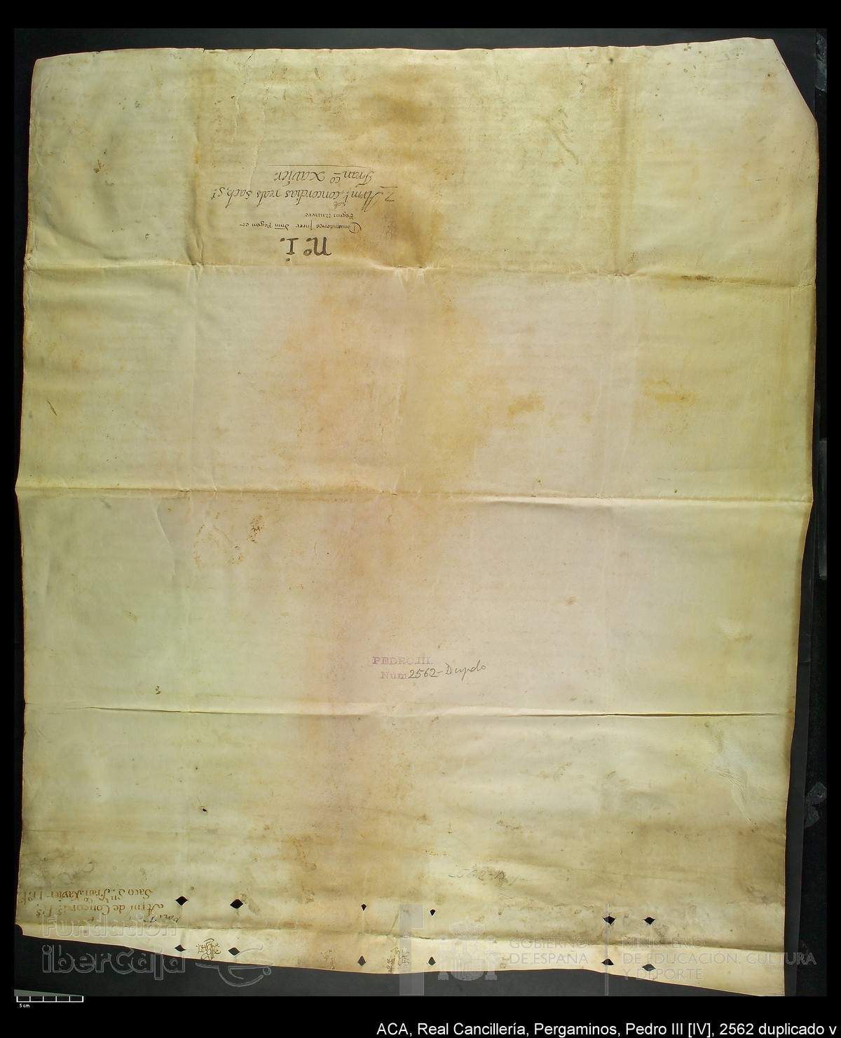 Carp.287,n�2562 dupl v