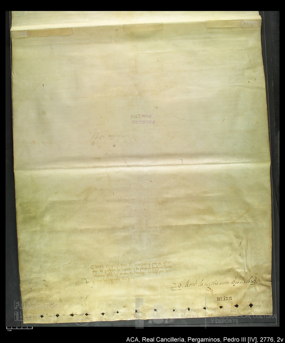 Carp.291,n�2776 2v