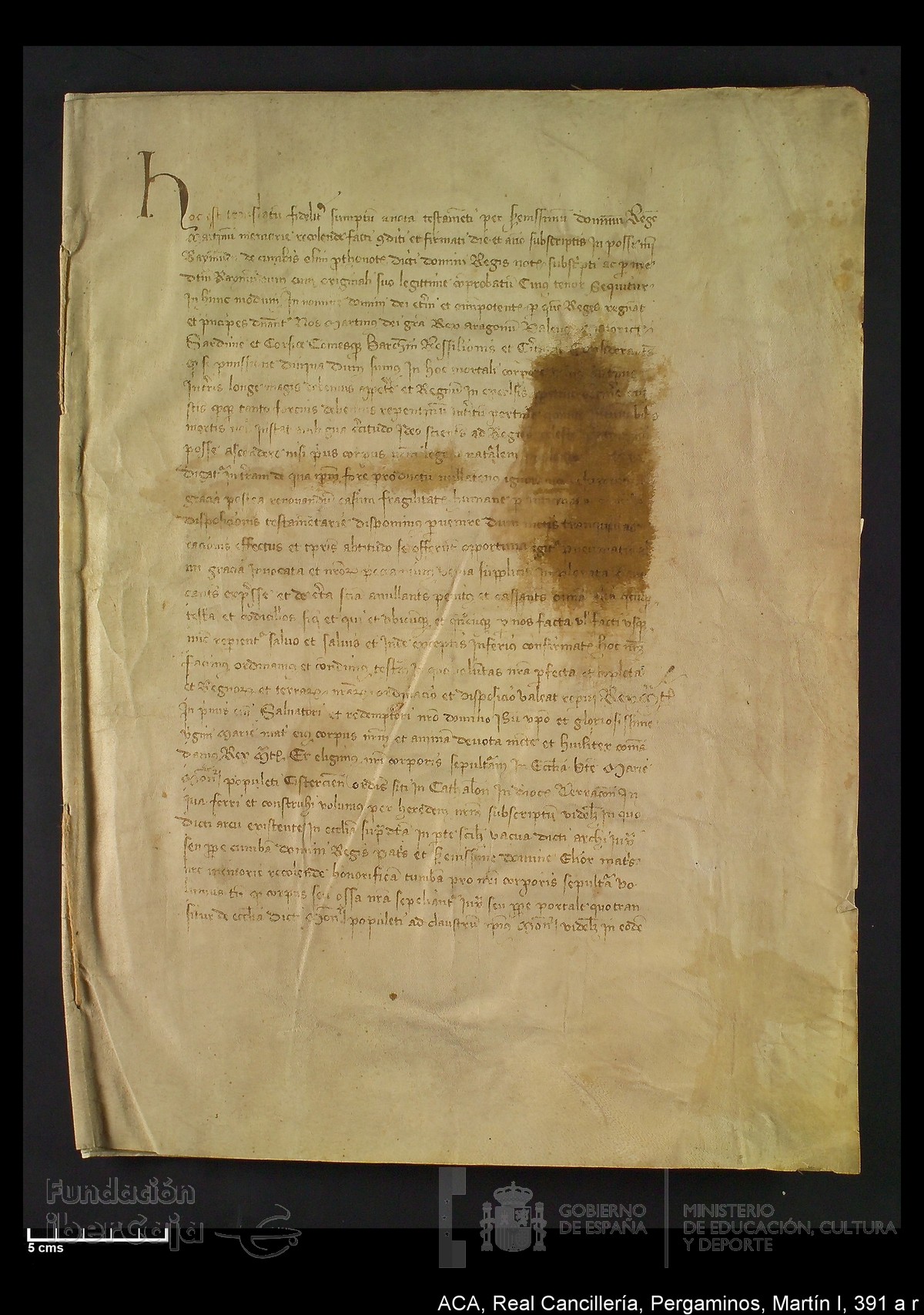 Carp.328,n�391 a r