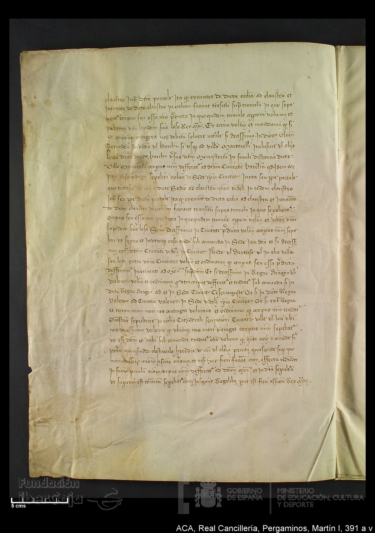 Carp.328,n�391 a v