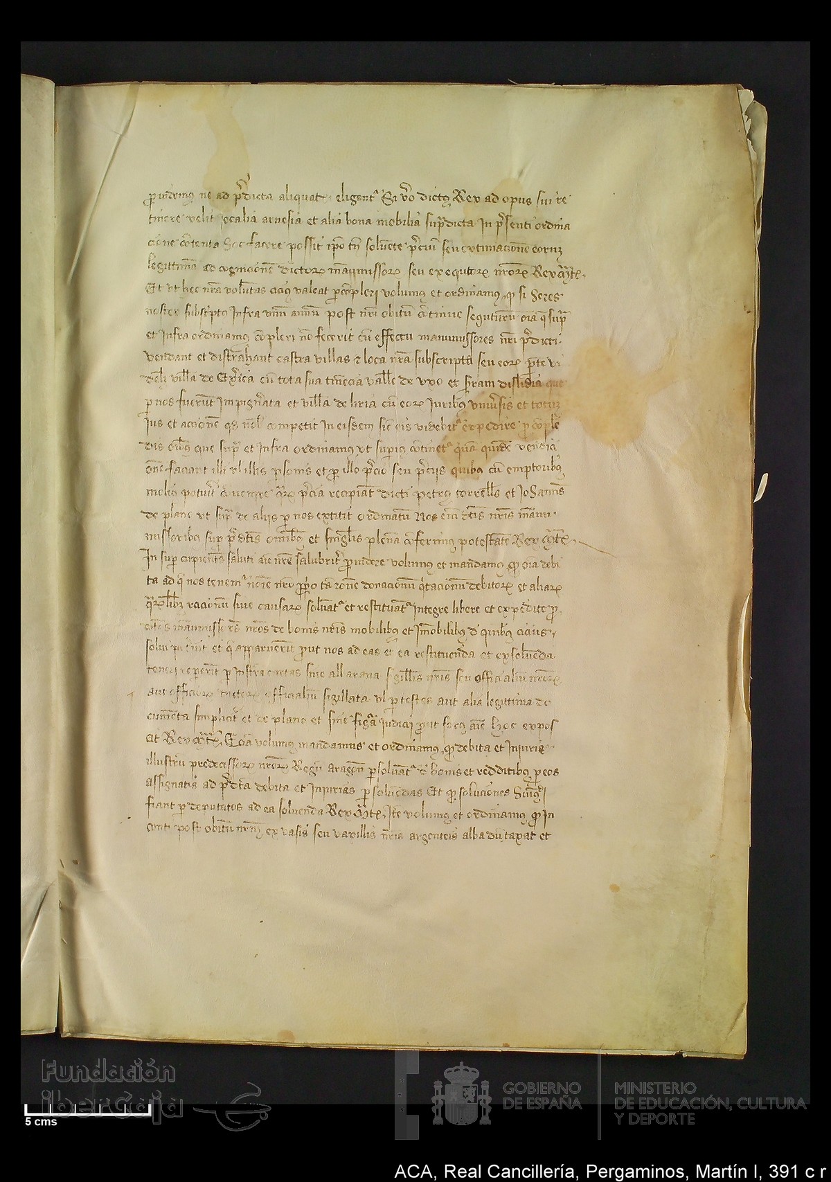 Carp.328,n�391 c r