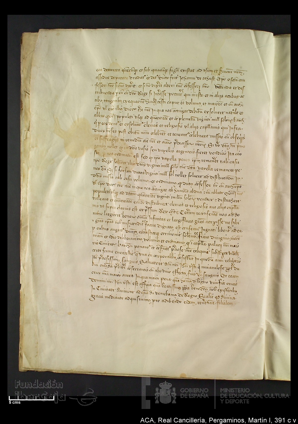 Carp.328,n�391 c v