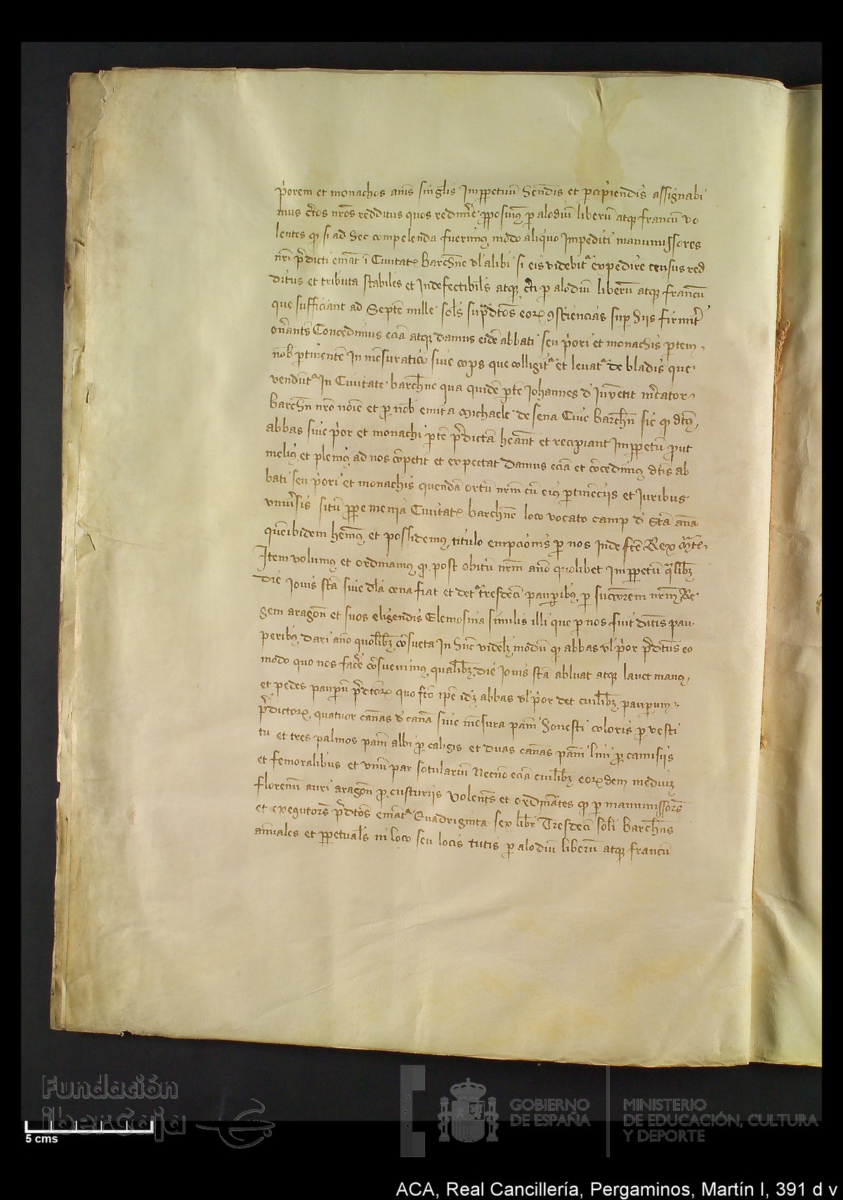 Carp.328,n�391 d v