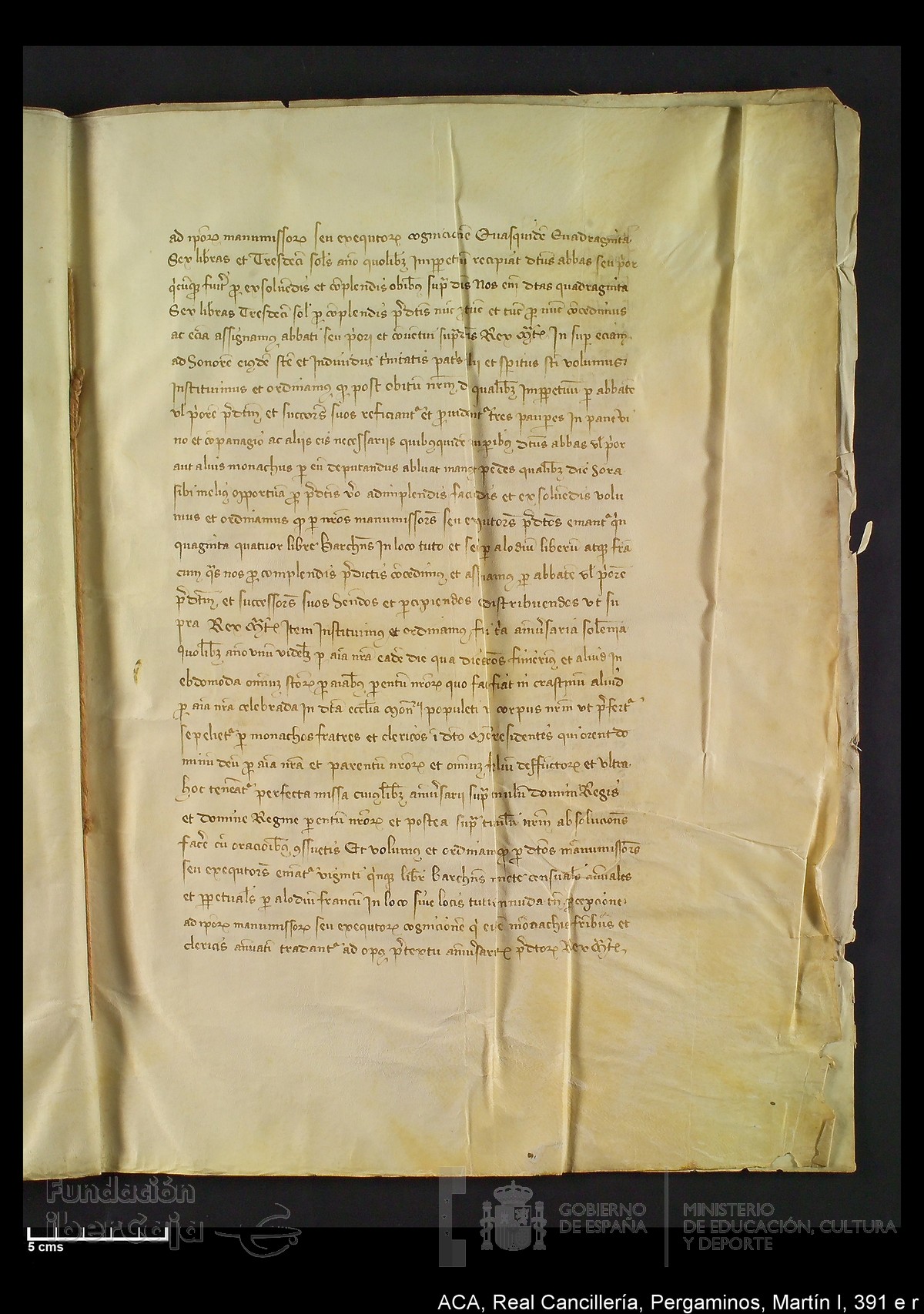 Carp.328,n�391 e r