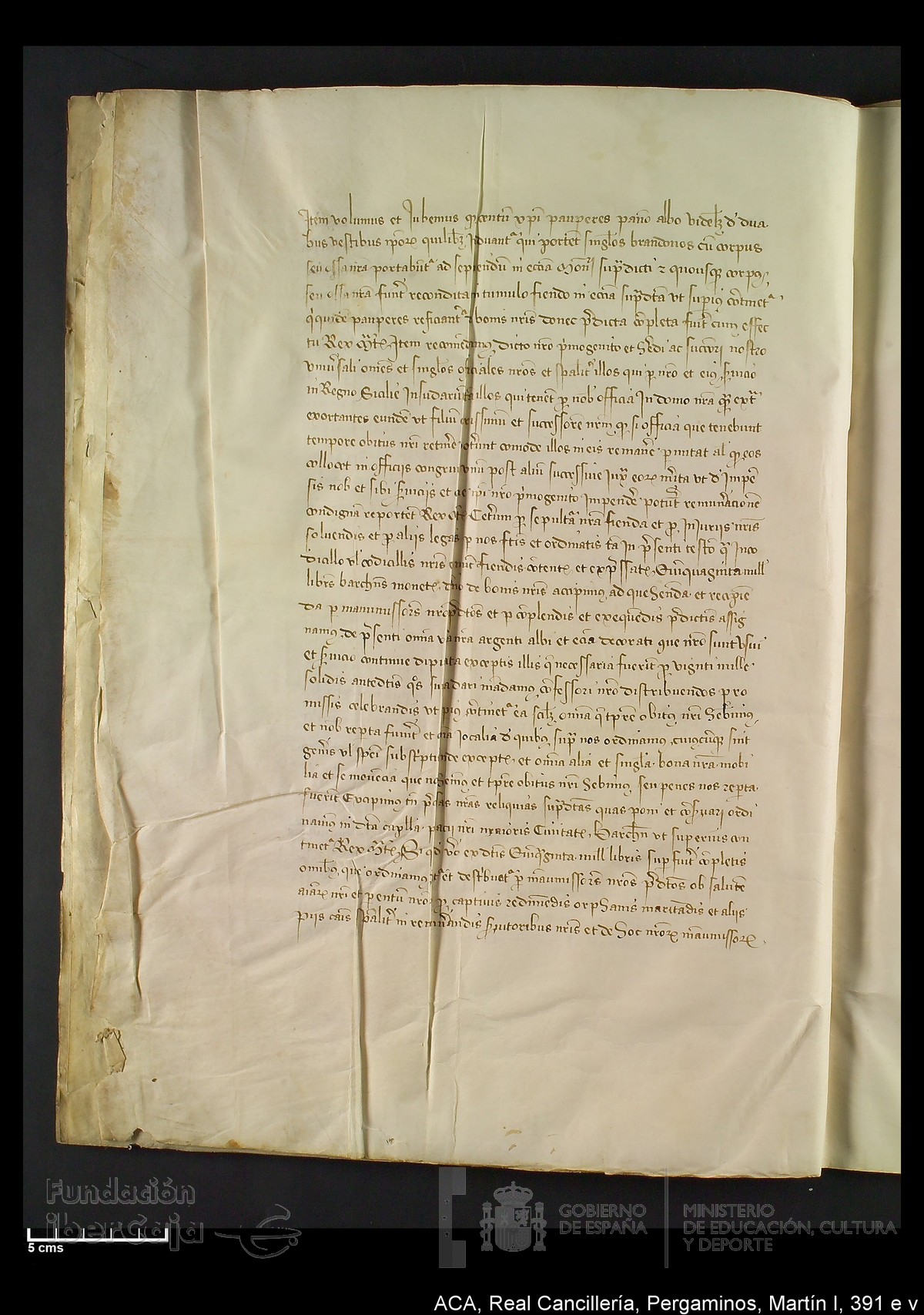 Carp.328,n�391 e v