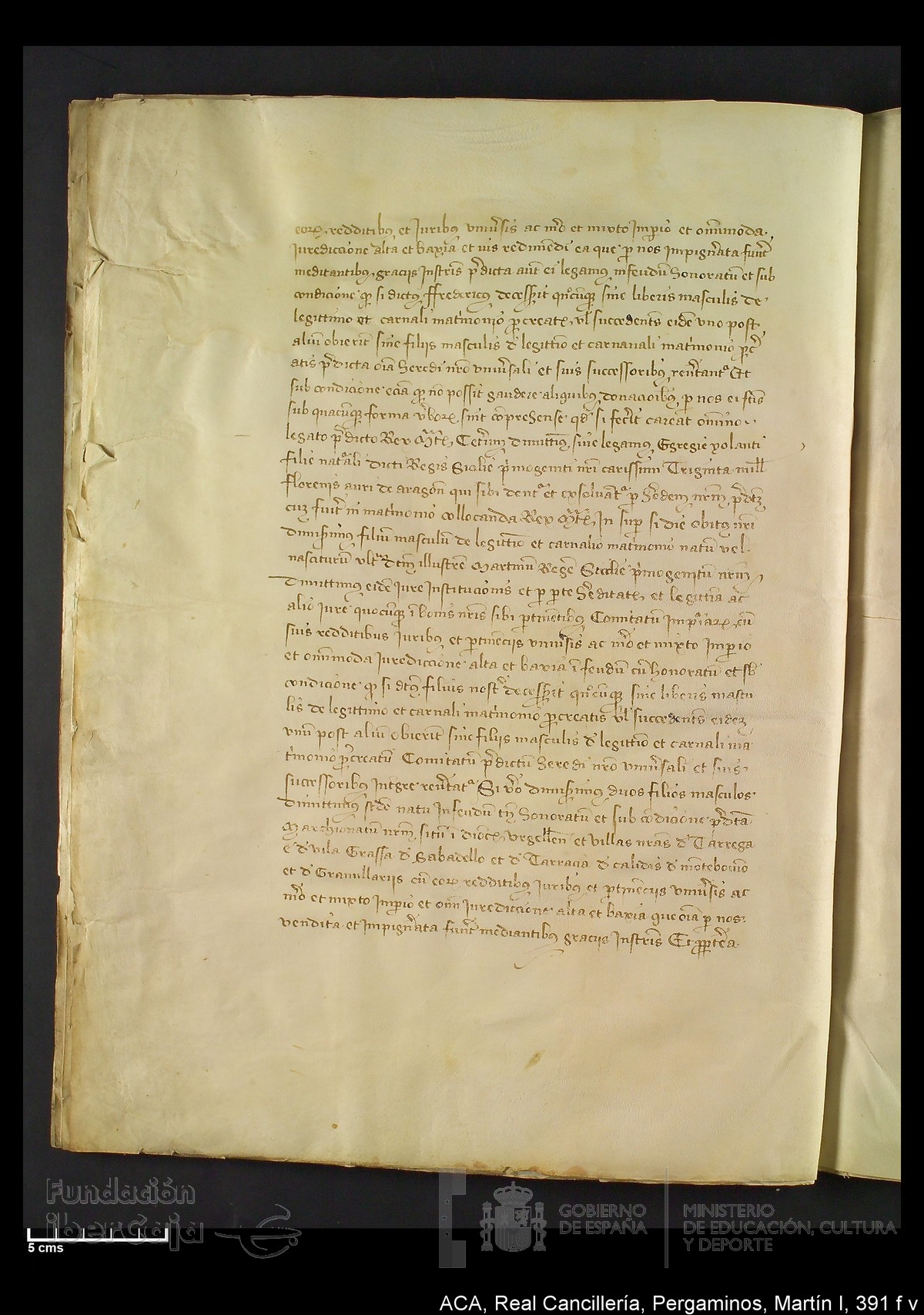 Carp.328,n�391 f v