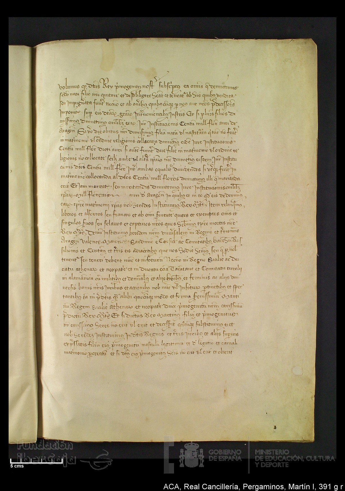 Carp.328,n�391 g r