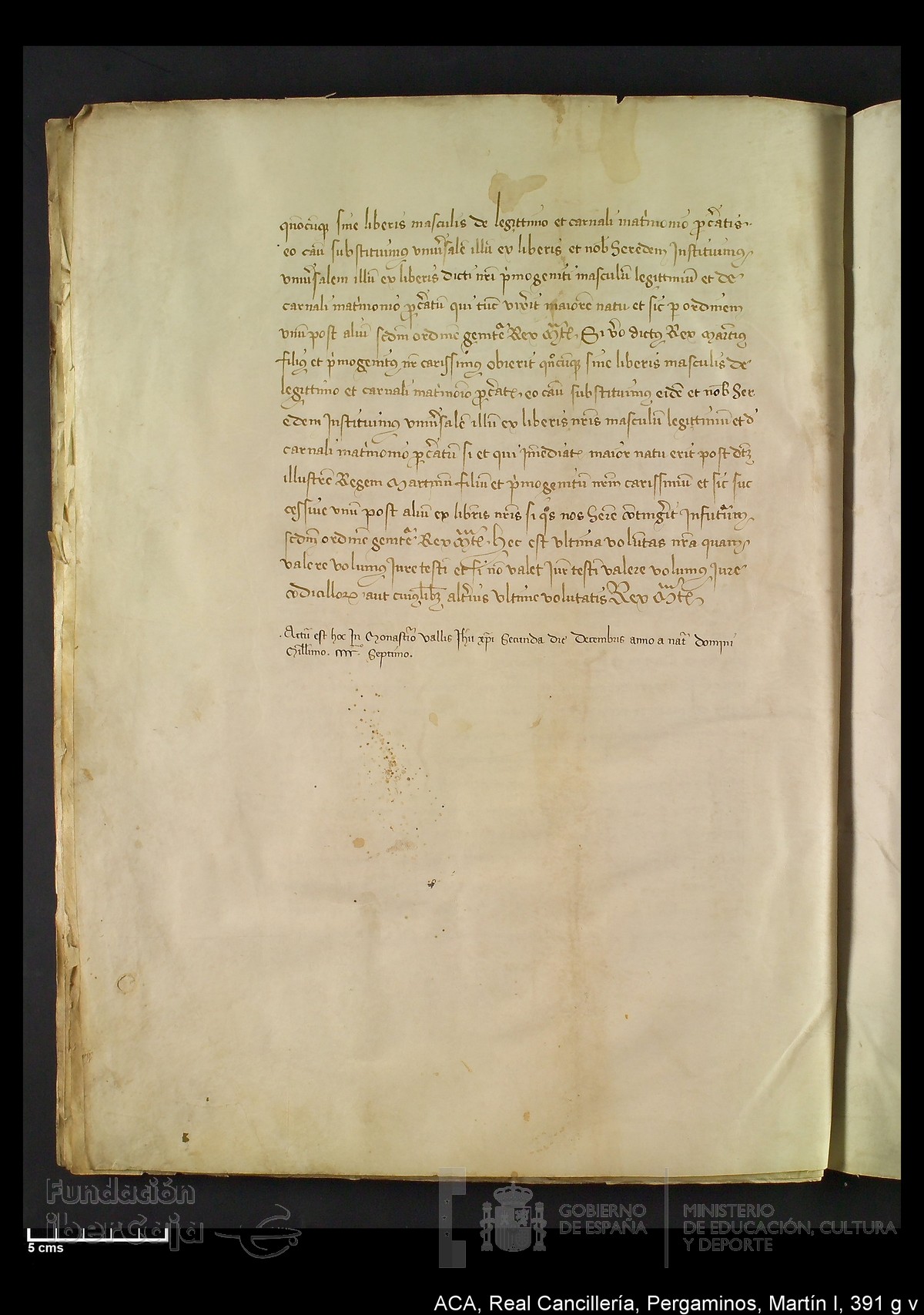 Carp.328,n�391 g v