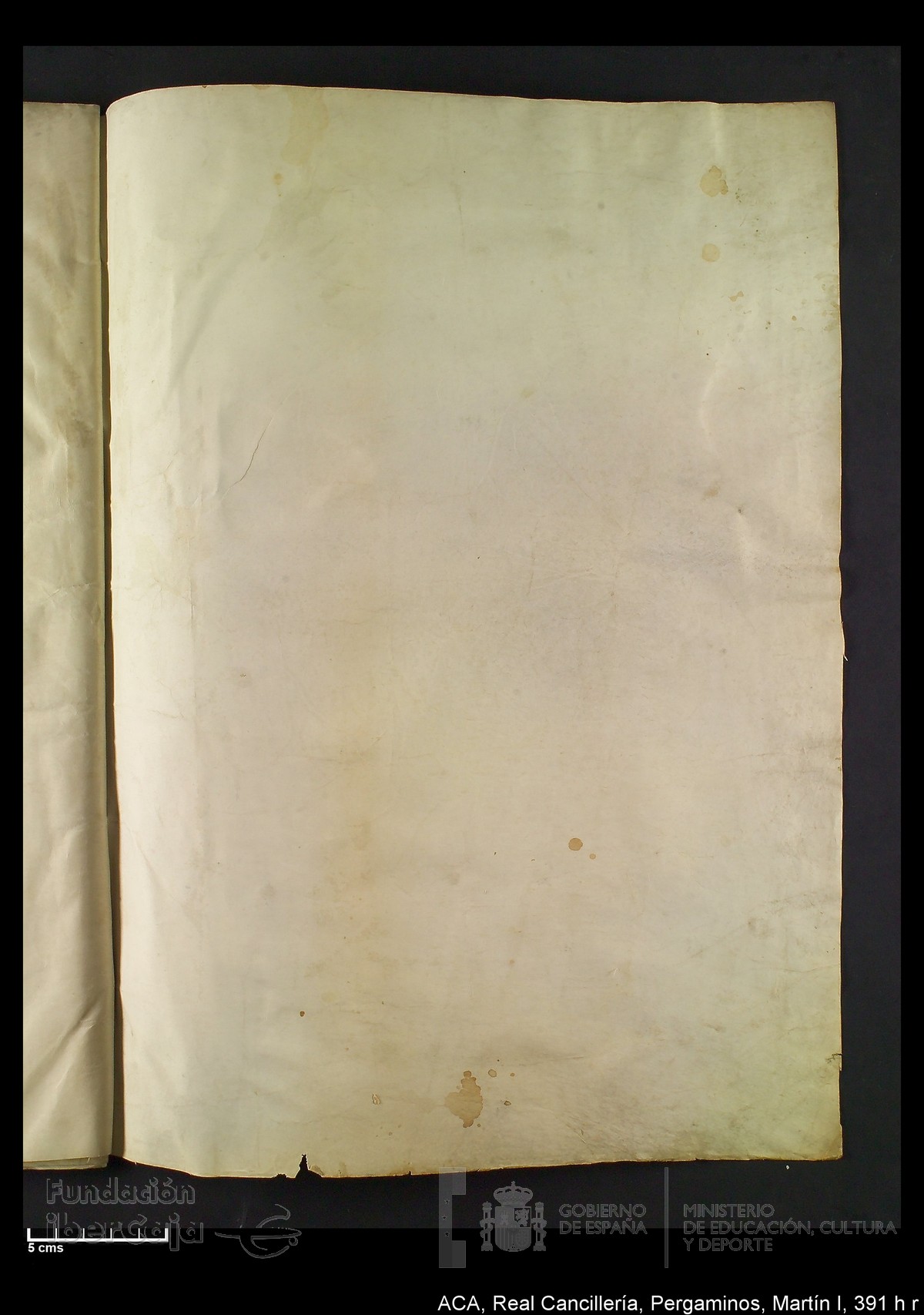 Carp.328,n�391 h r