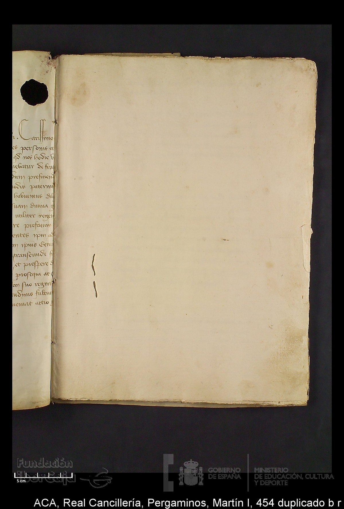 Carp.330,n�454 dupl b r