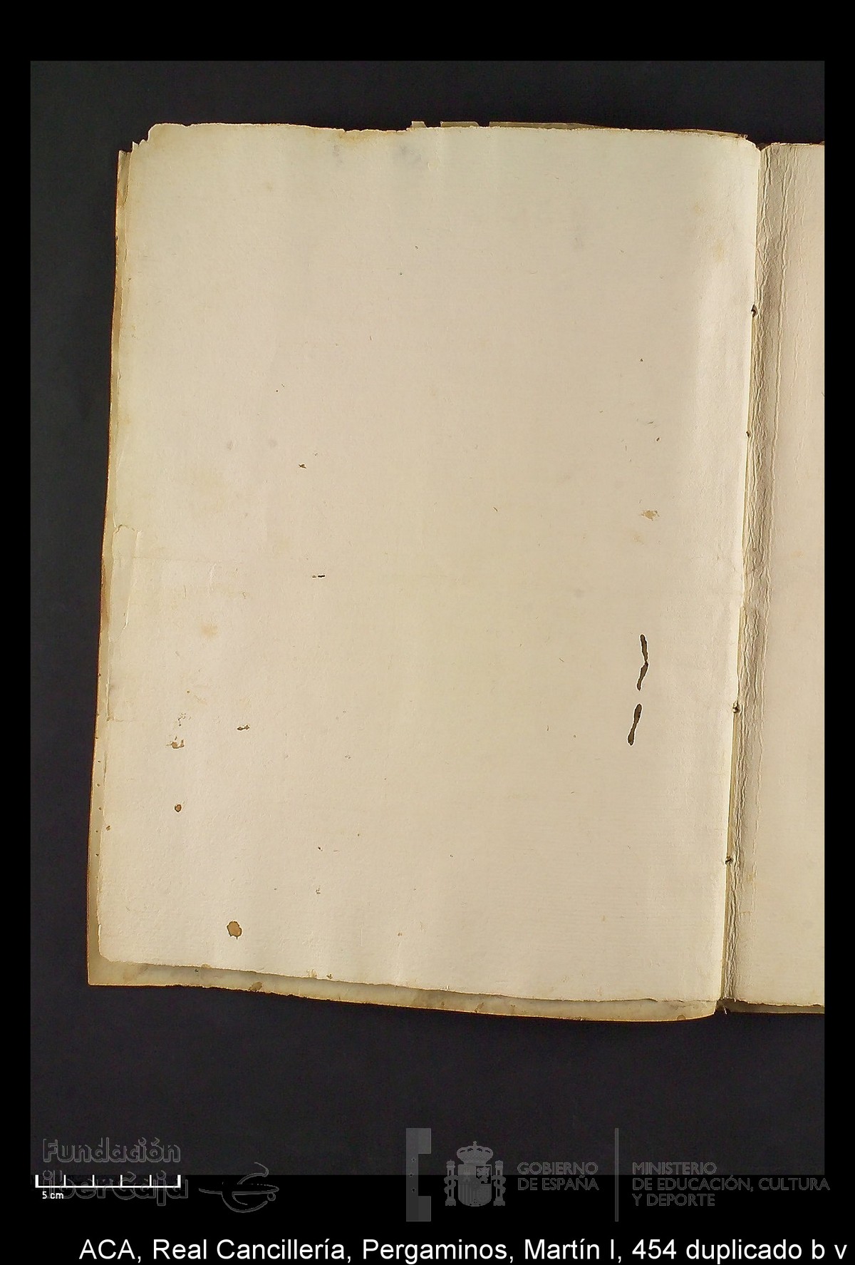 Carp.330,n�454 dupl b v