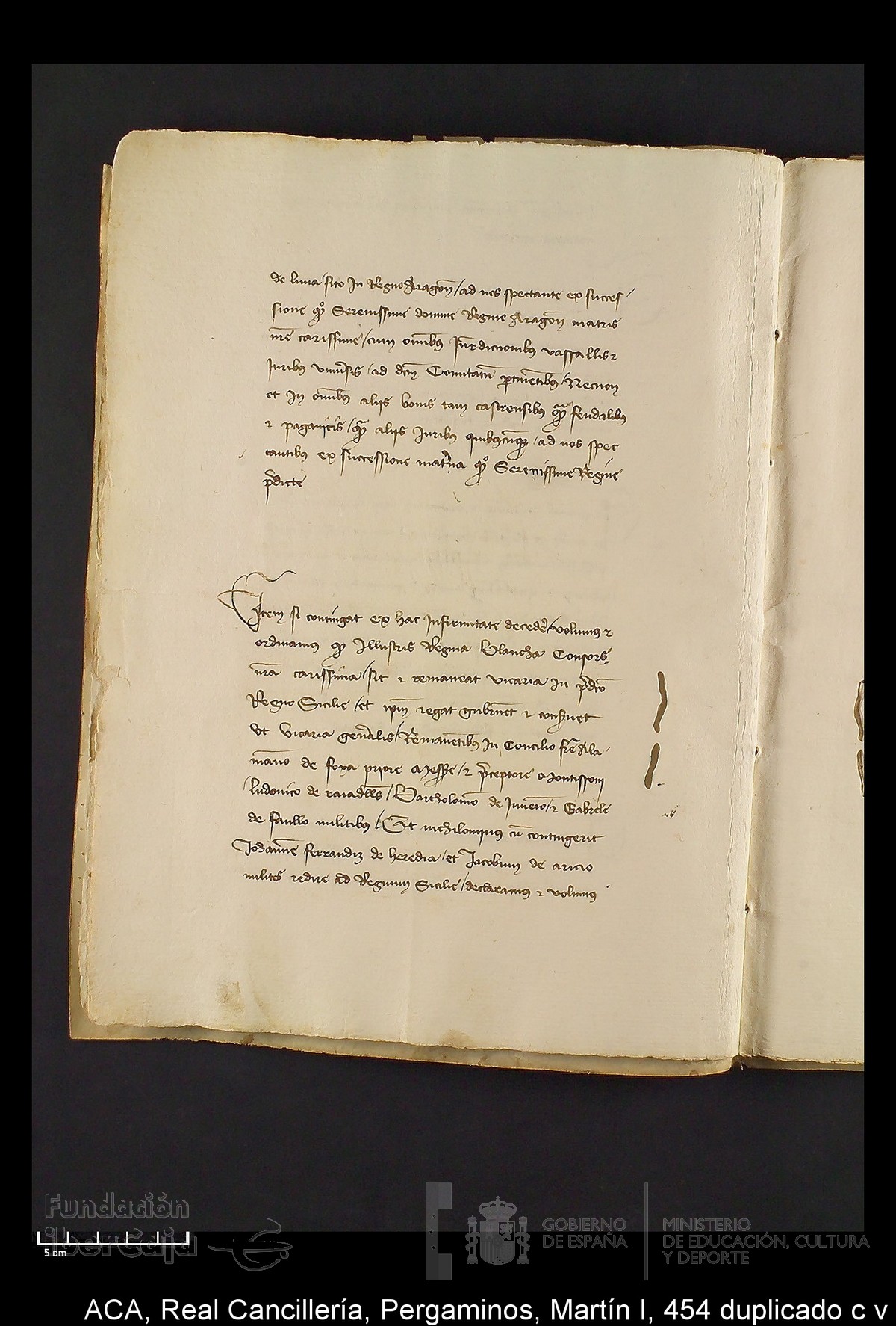 Carp.330,n�454 dupl c v