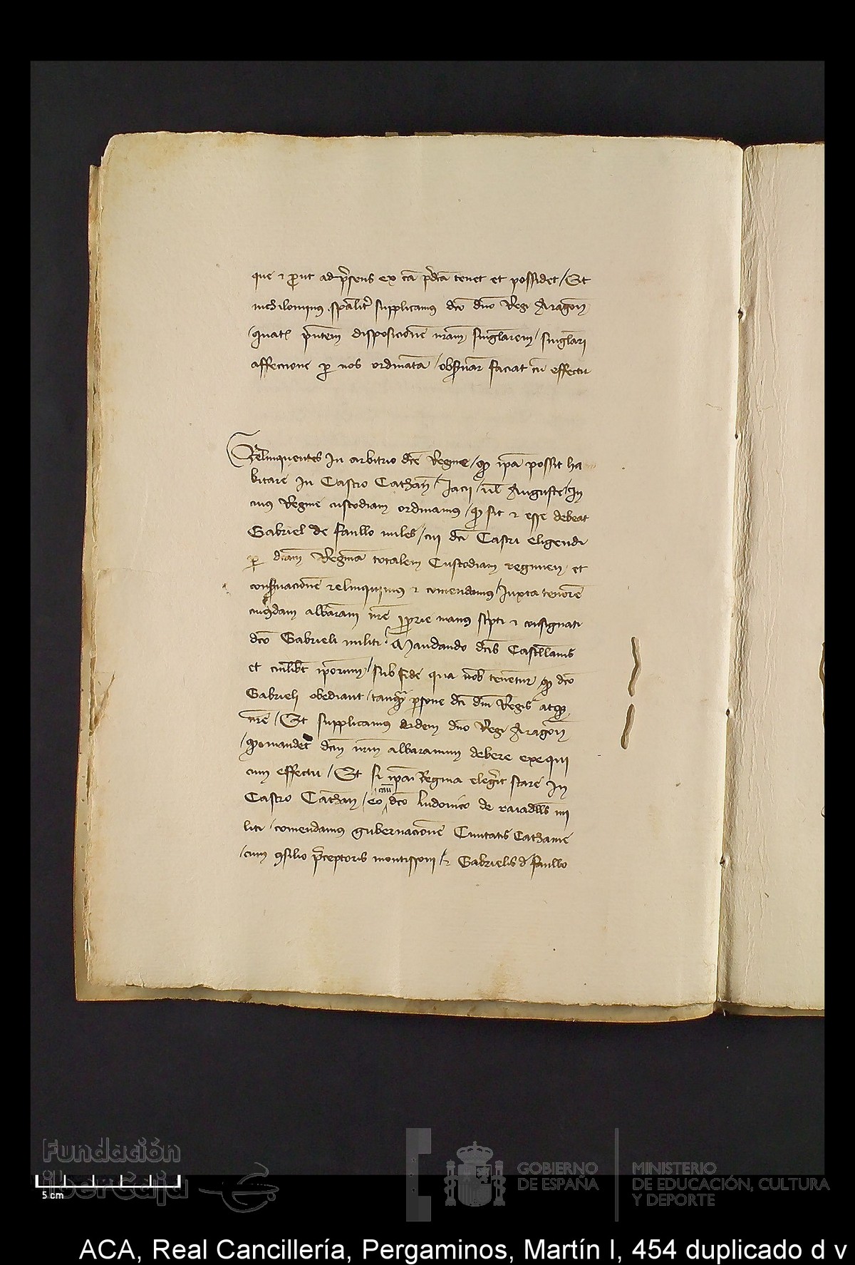 Carp.330,n�454 dupl d v