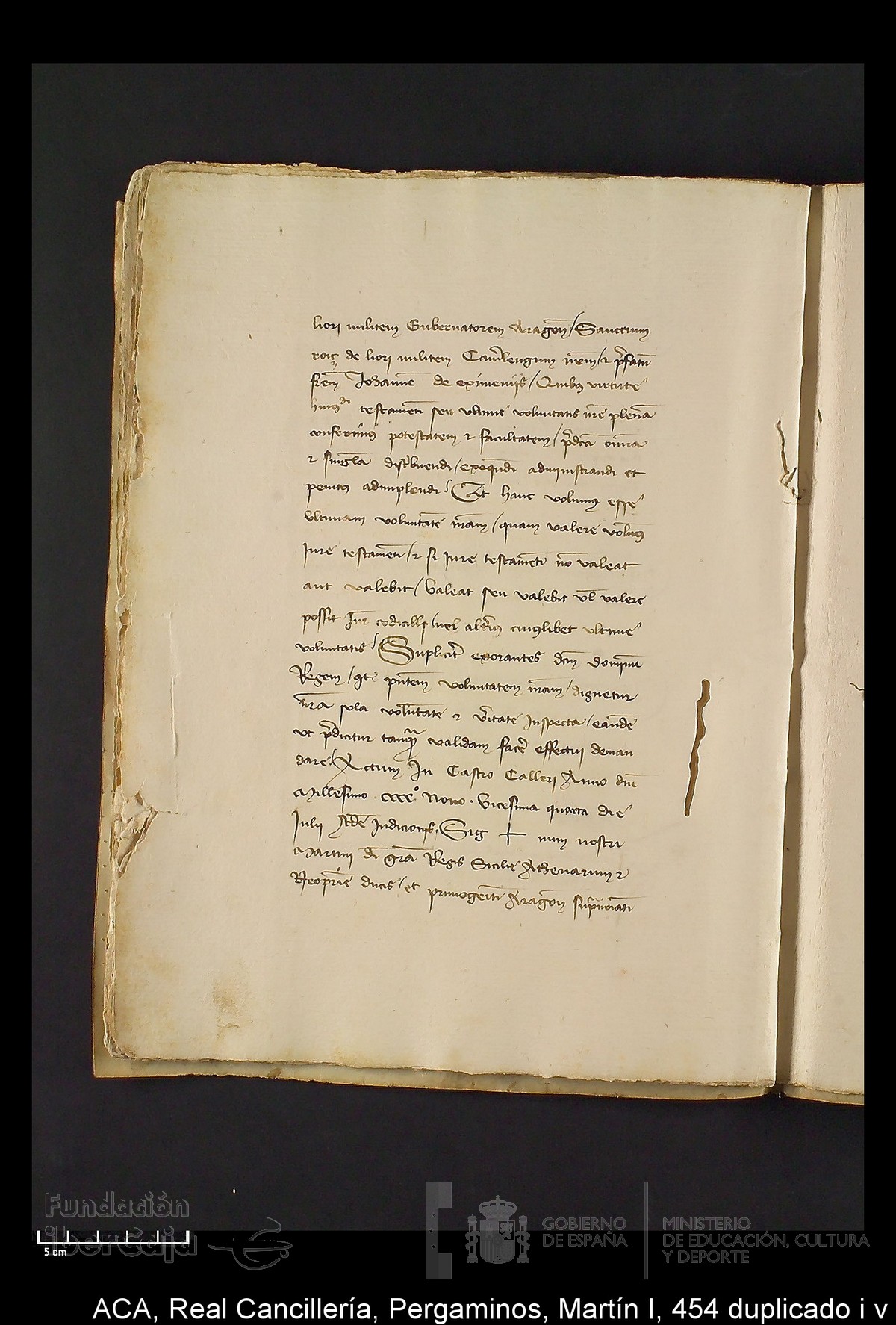 Carp.330,n�454 dupl i v