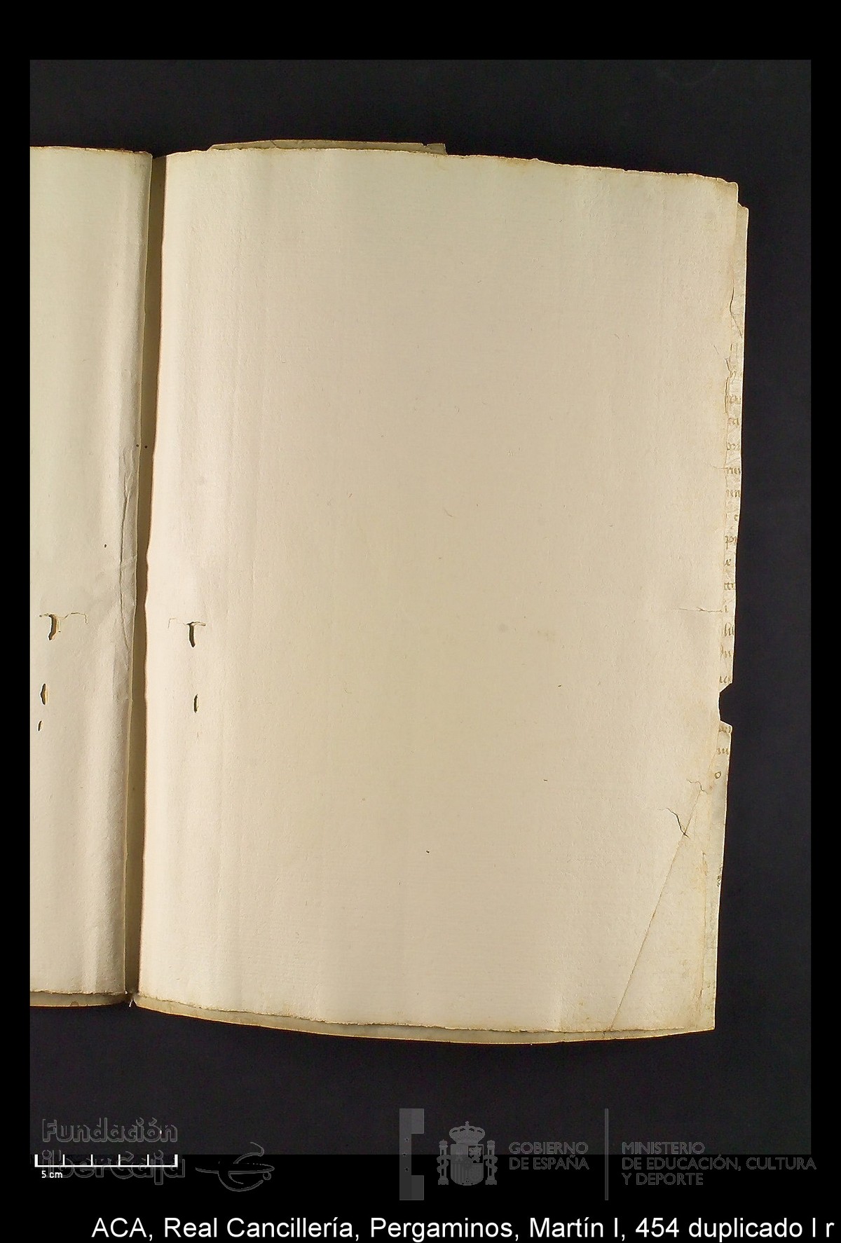 Carp.330,n�454 dupl l r