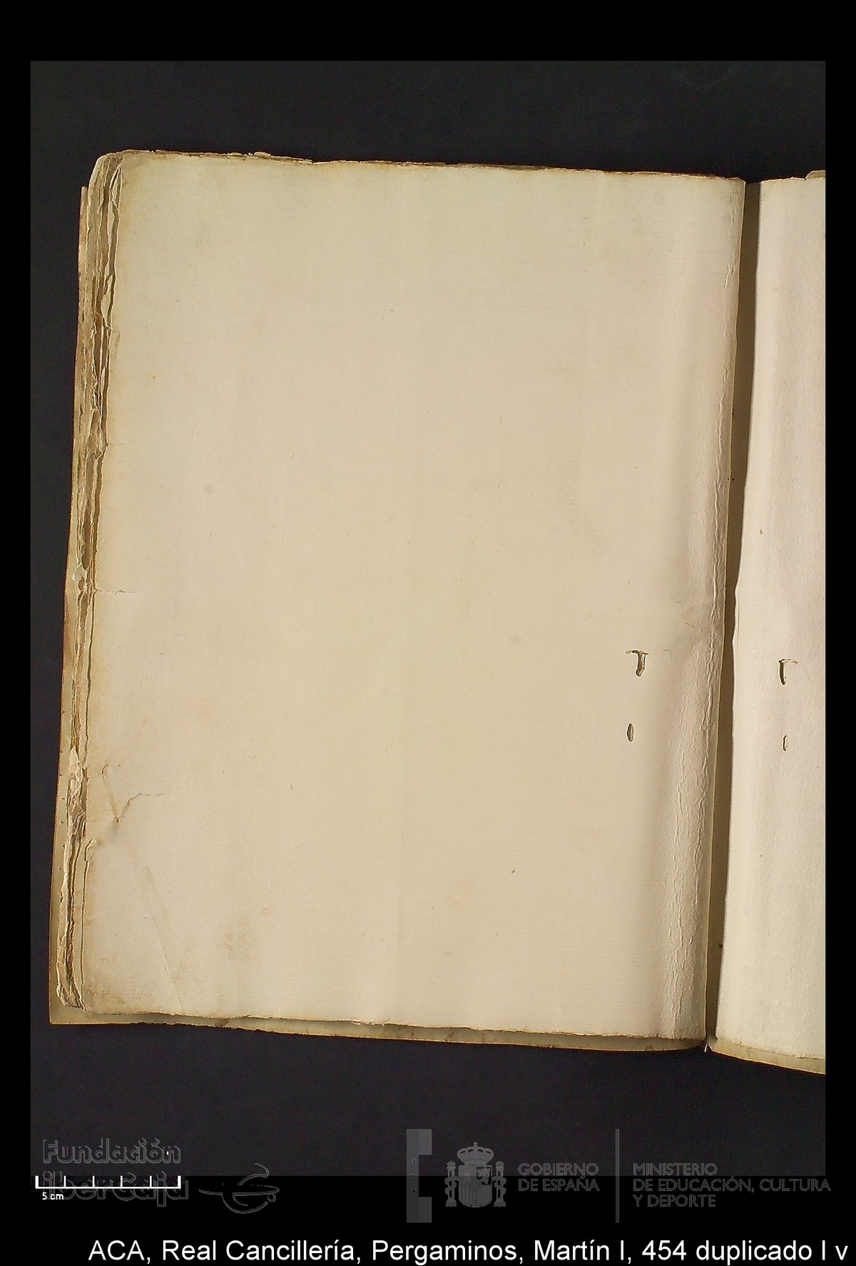 Carp.330,n�454 dupl l v