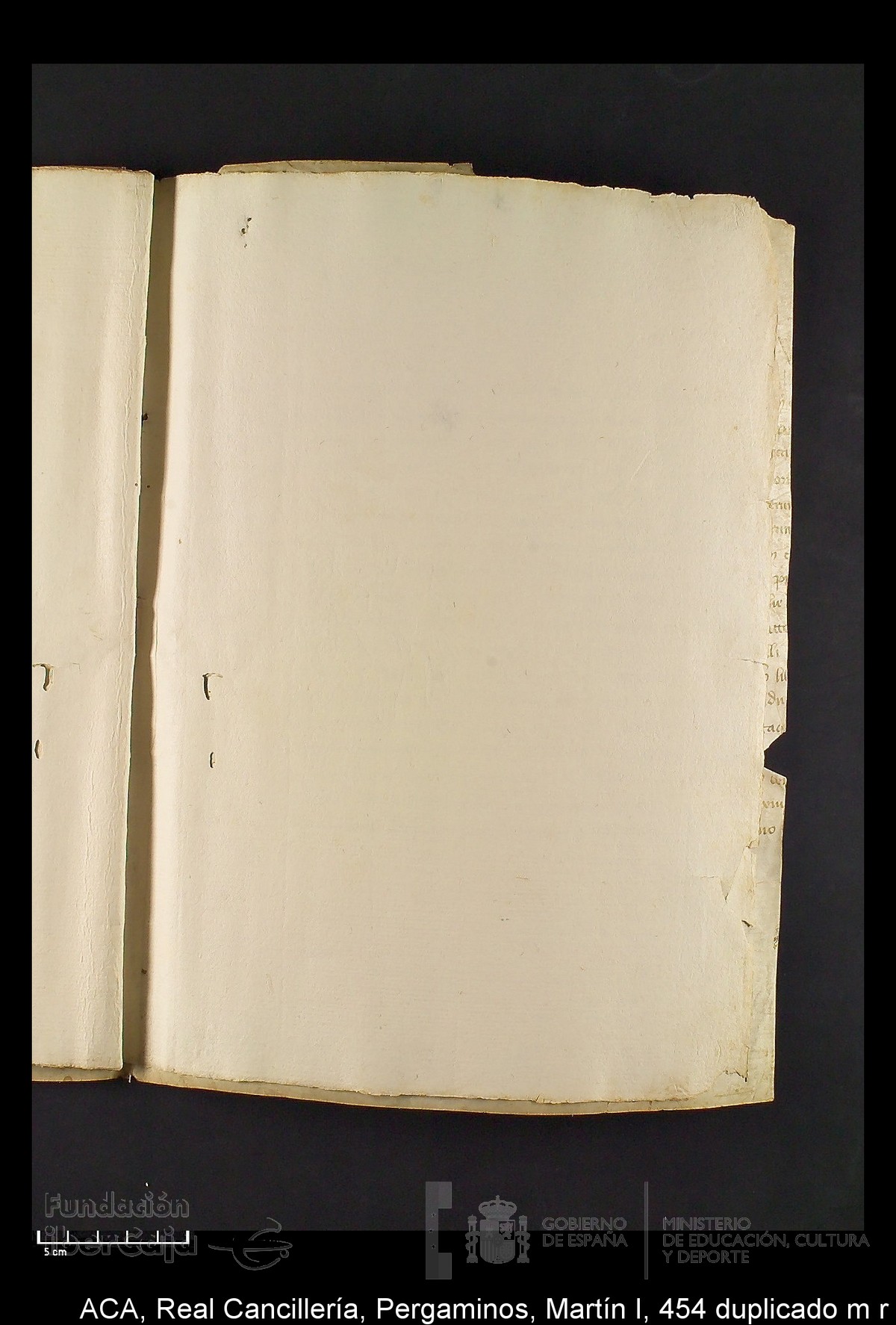 Carp.330,n�454 dupl m r