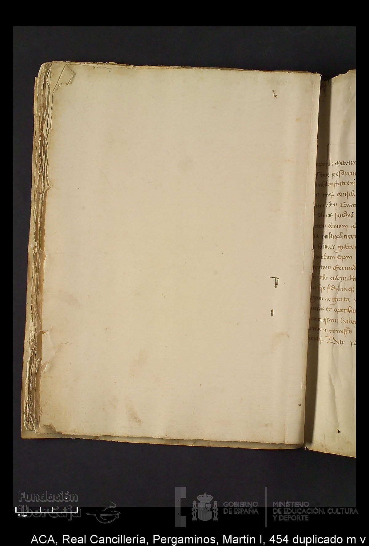 Carp.330,n�454 dupl m v