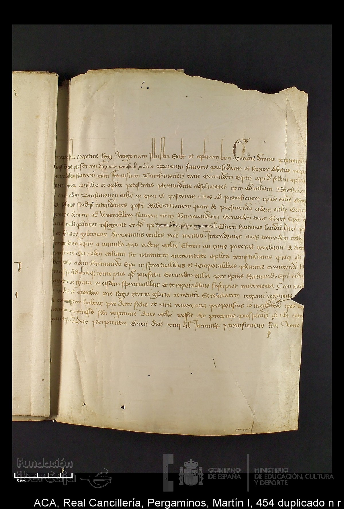 Carp.330,n�454 dupl n r