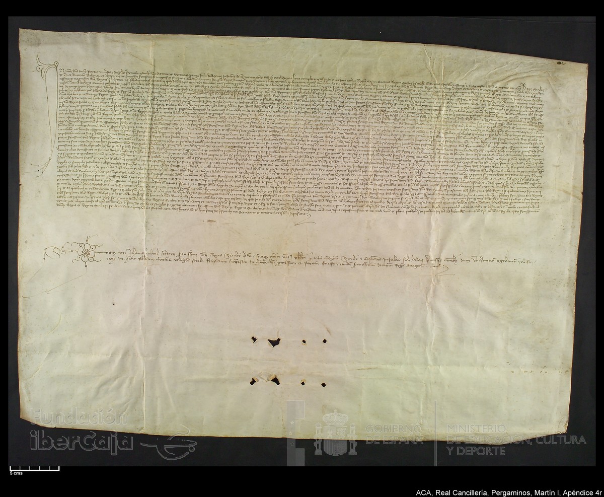 Carp.331,Ap�nd. n�4r