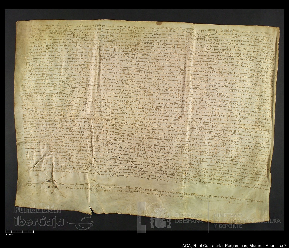 Carp.331,Ap�nd. n�7r