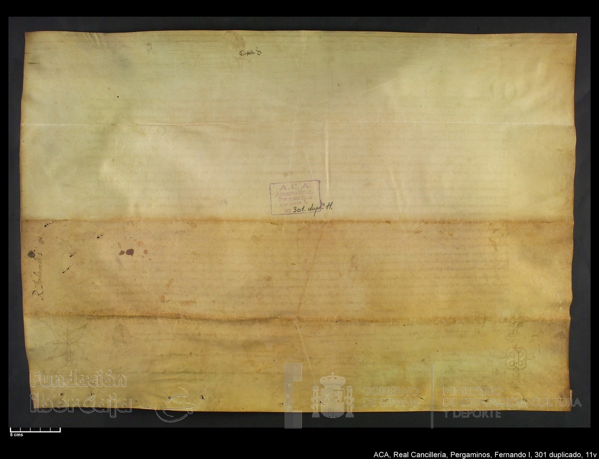 Carp.338,n301 dupl11v