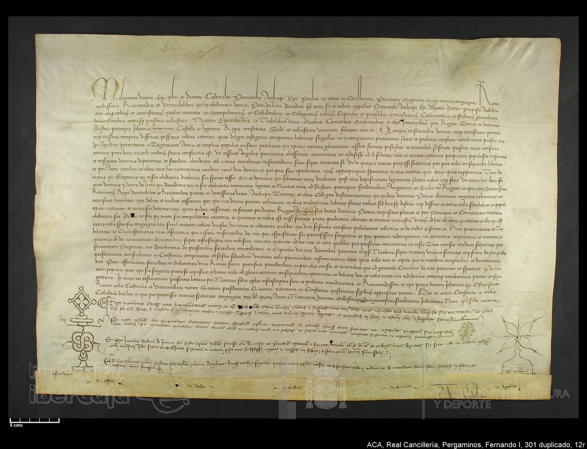 Carp.338,n301 dupl12r