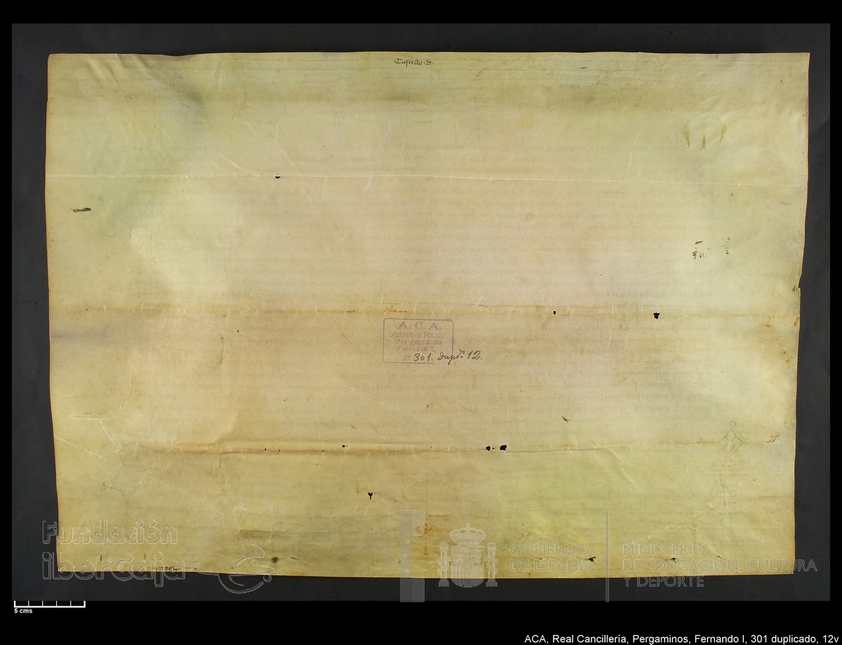 Carp.338,n301 dupl12v