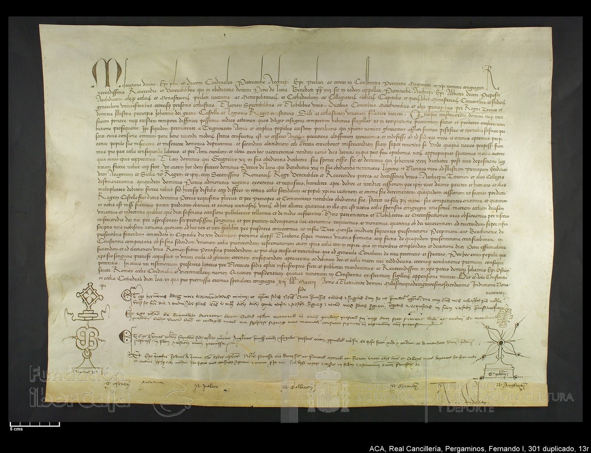 Carp.338,n301 dupl13r