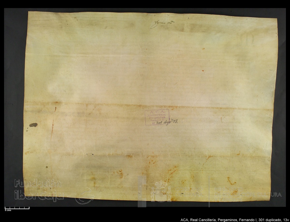 Carp.338,n301 dupl13v