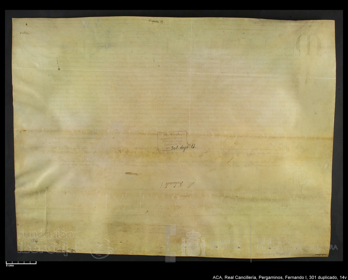 Carp.338,n301 dupl14v