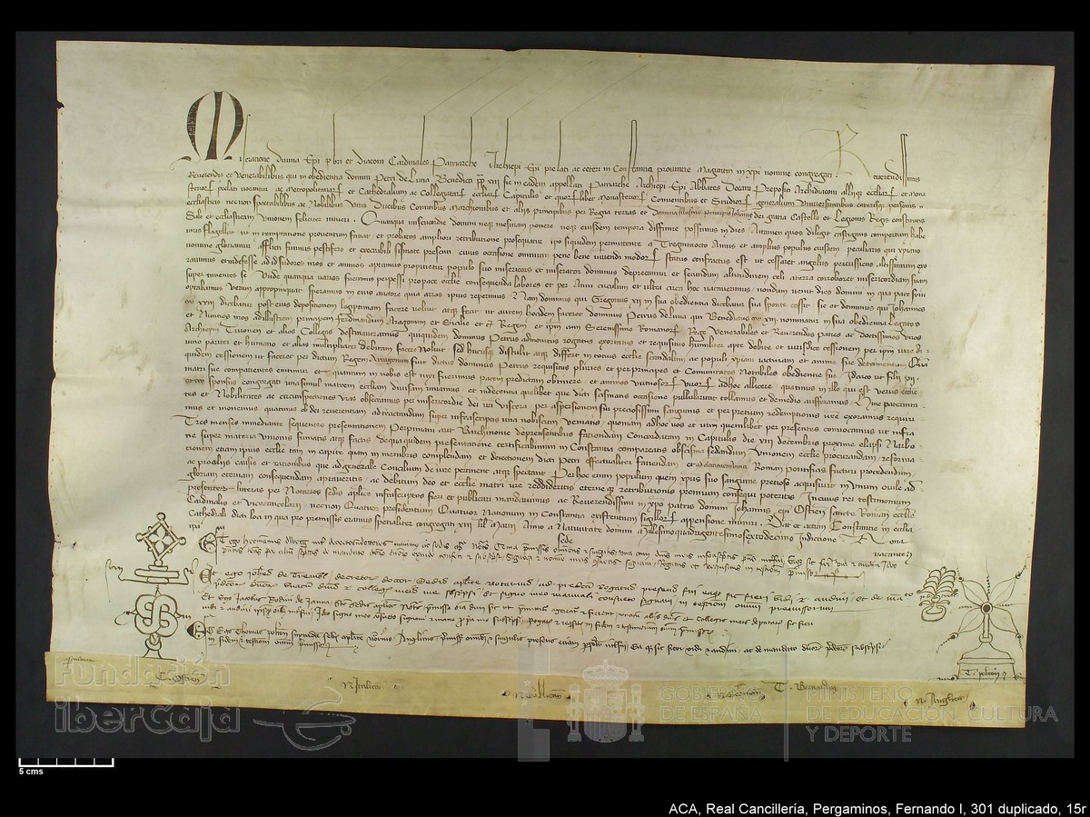 Carp.338,n301 dupl15r