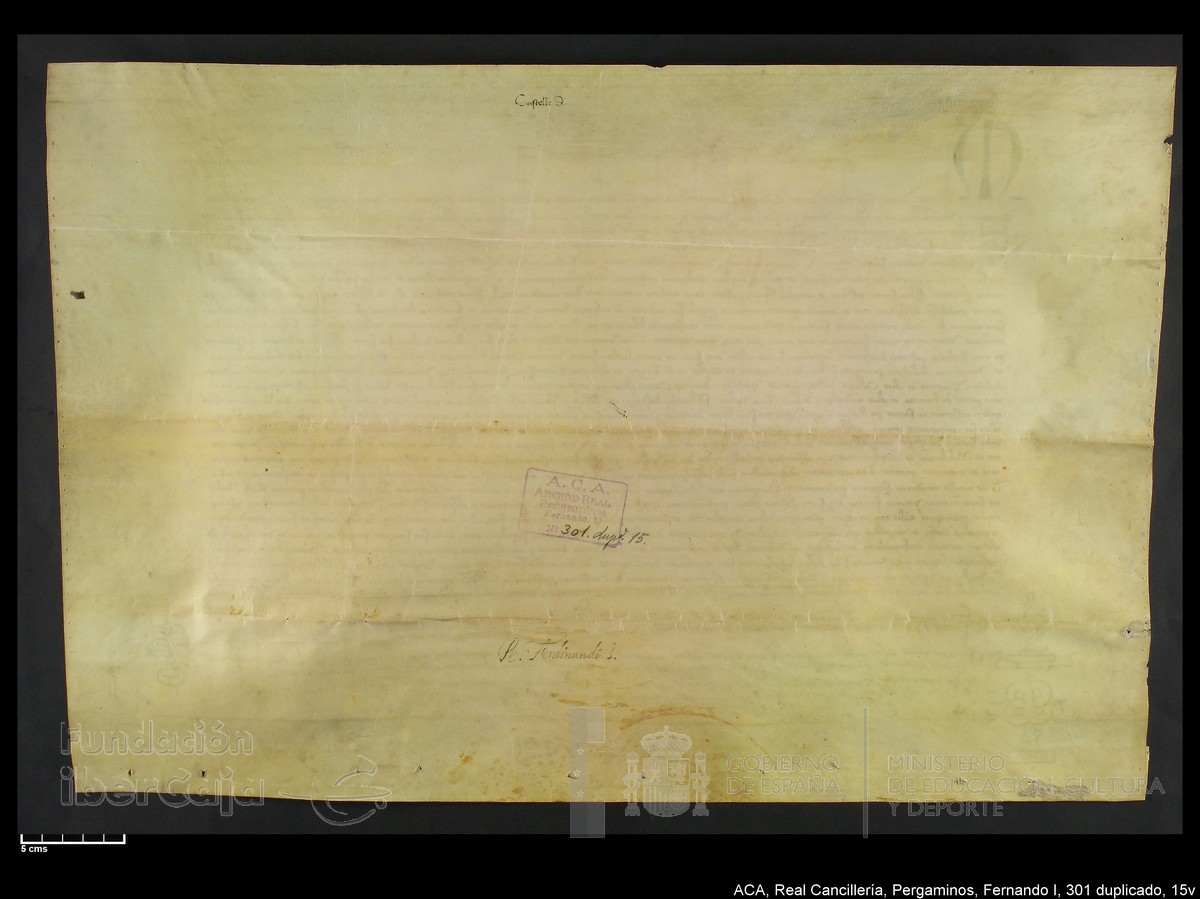 Carp.338,n301 dupl15v