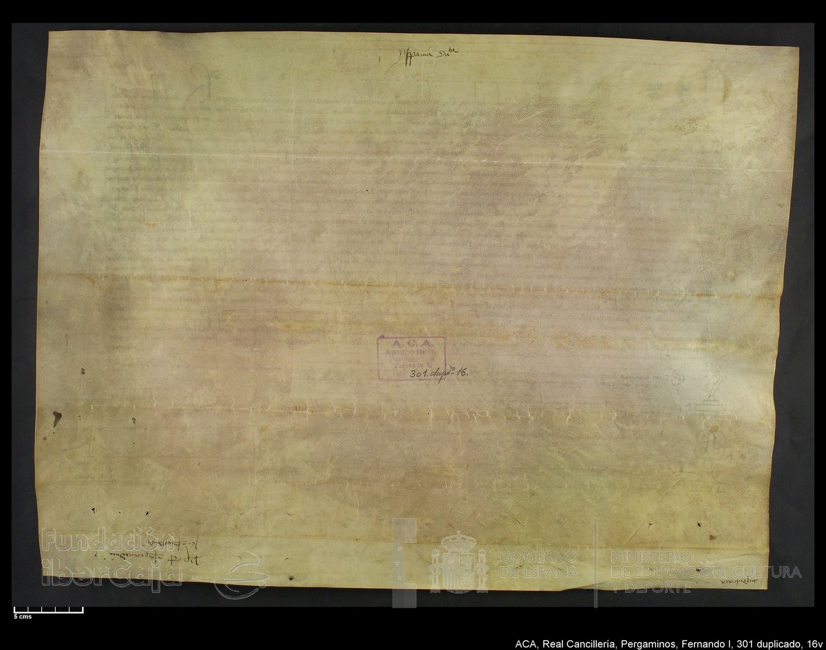 Carp.338,n301 dupl16v