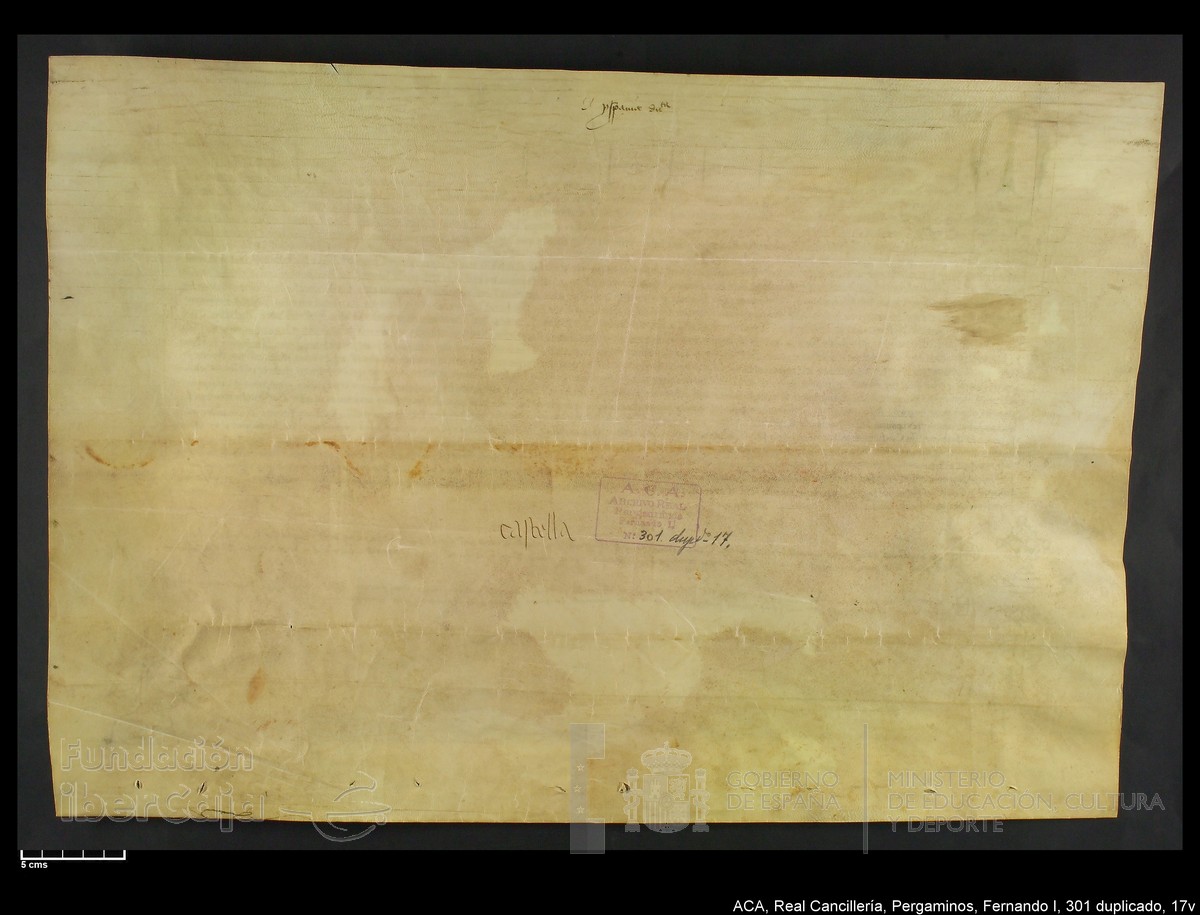 Carp.338,n301 dupl17v