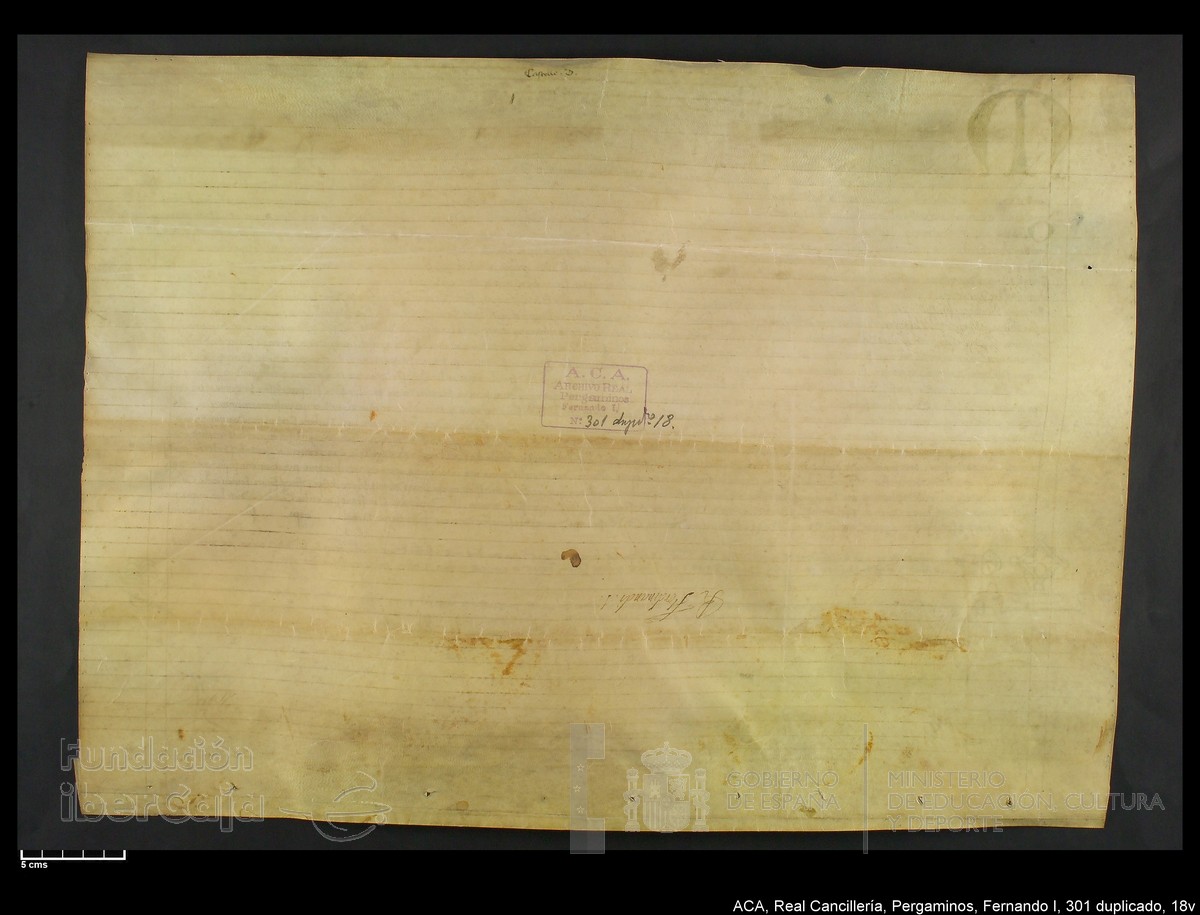 Carp.338,n301 dupl18v