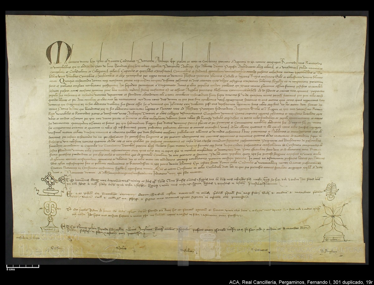 Carp.338,n301 dupl19r