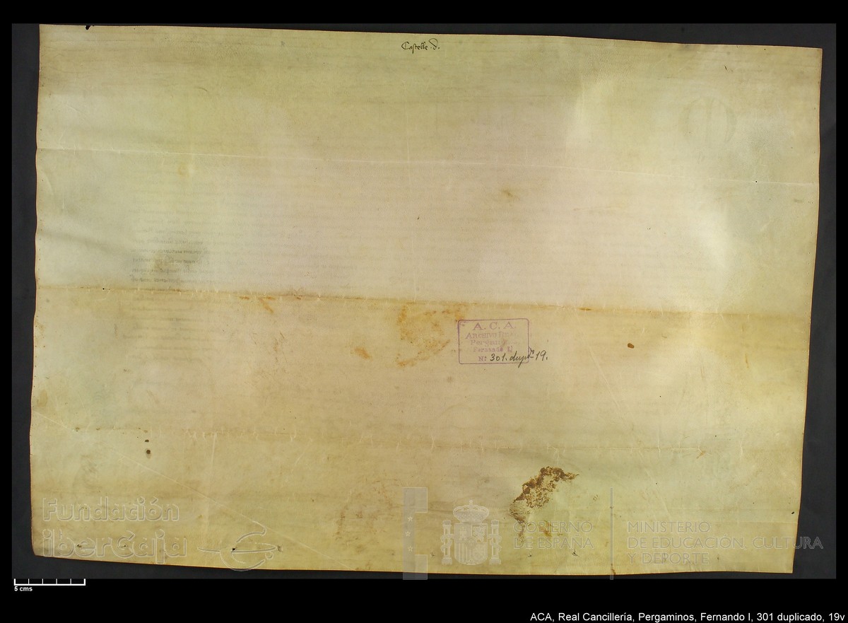 Carp.338,n301 dupl19v