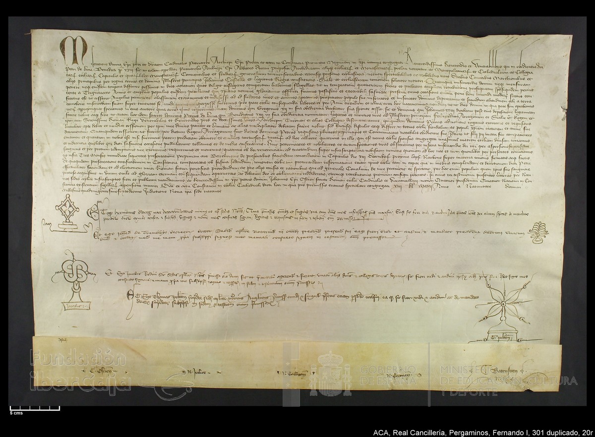 Carp.338,n301 dupl 20r