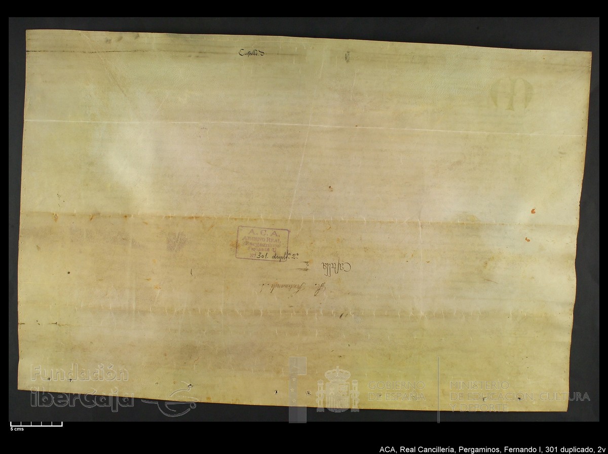 Carp.338,n301 dupl2v