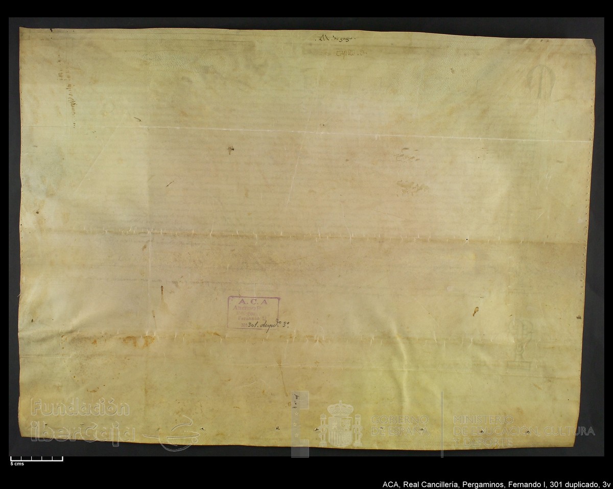 Carp.338,n301 dupl3v