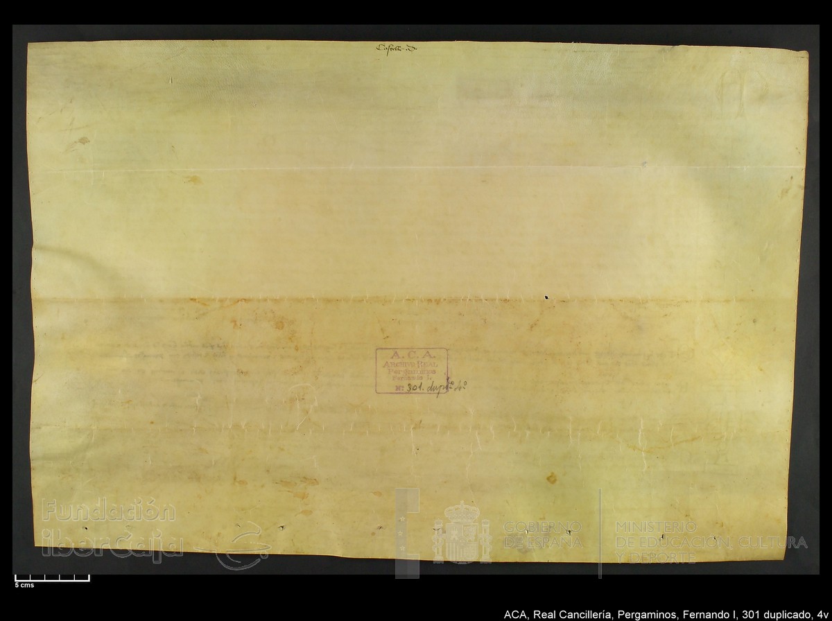 Carp.338,n301 dupl4v