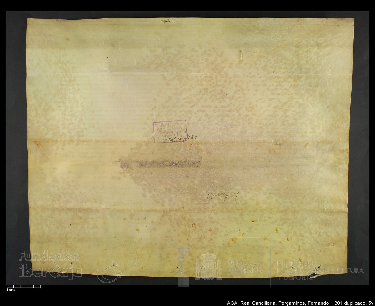 Carp.338,n301 dupl5v