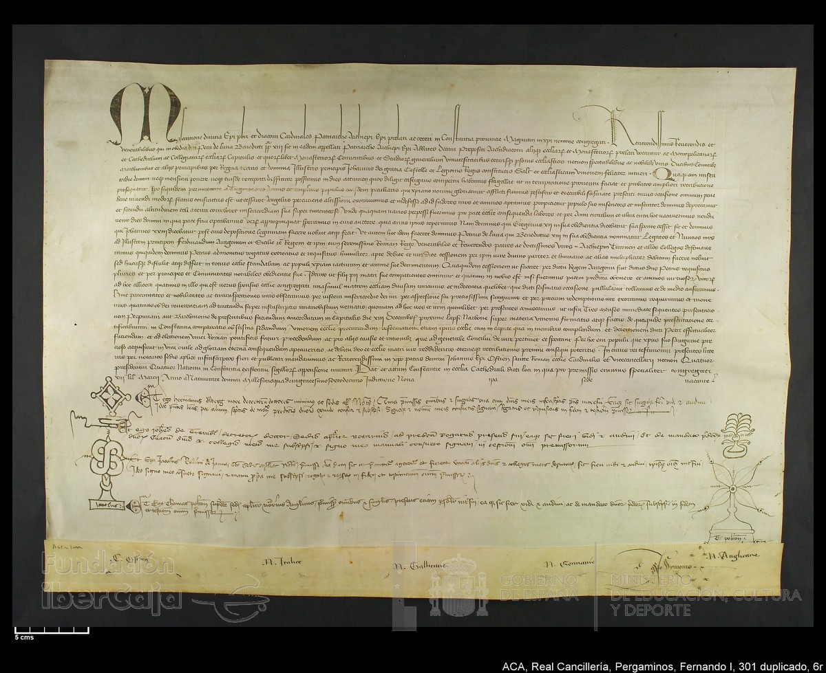 Carp.338,n301 dupl6r