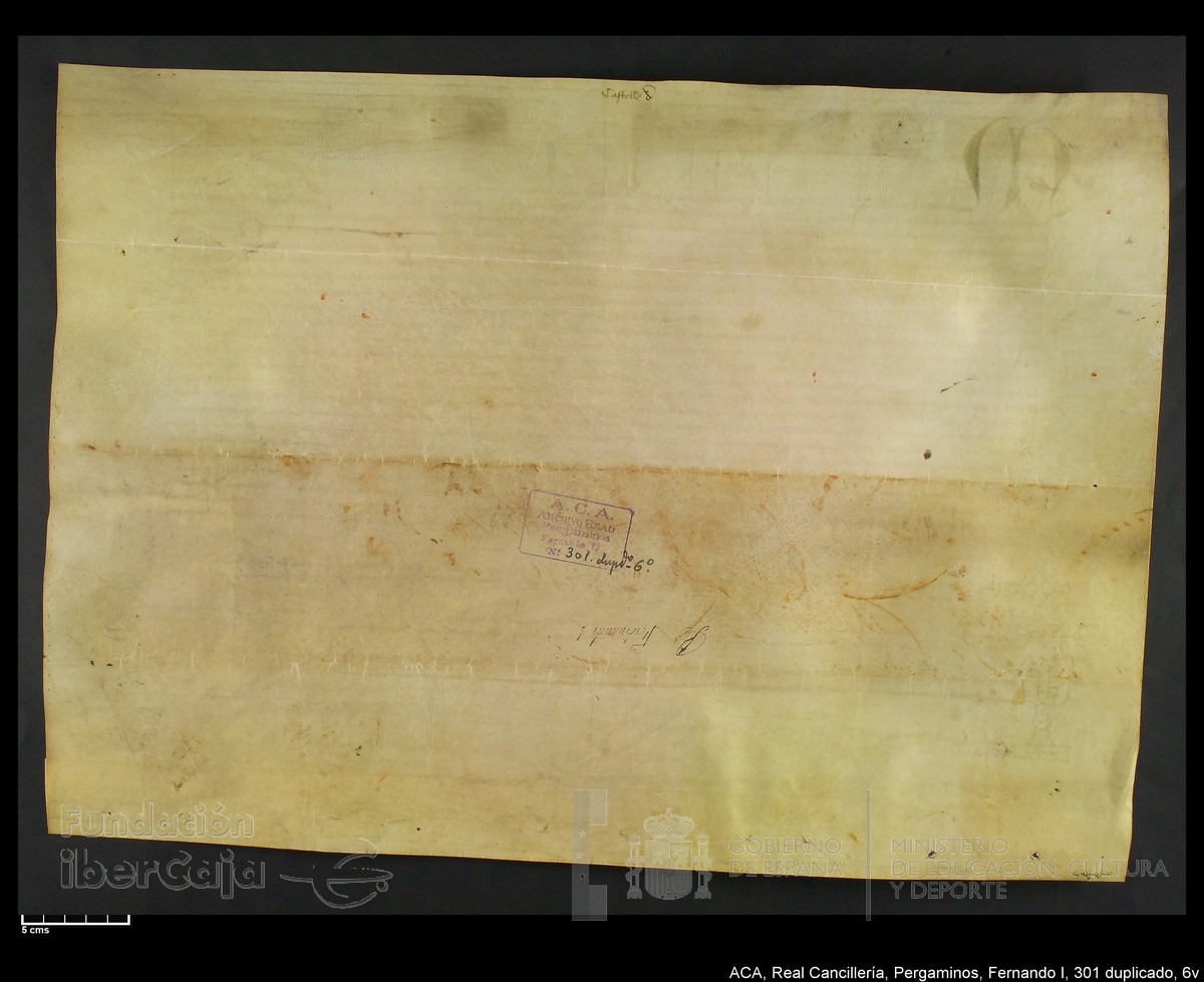 Carp.338,n301 dupl6v