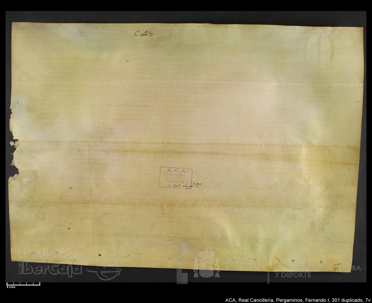 Carp.338,n301 dupl7v