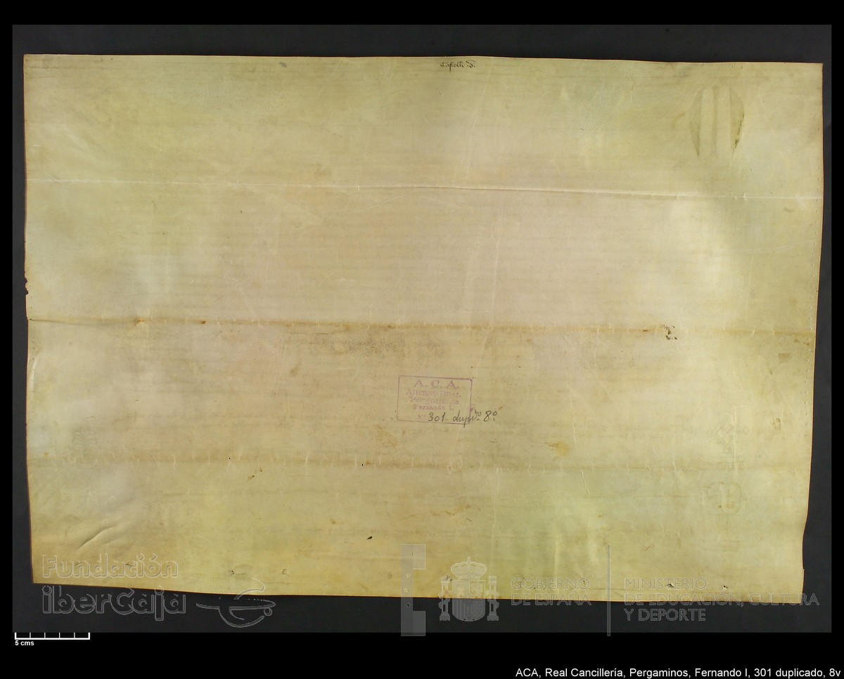 Carp.338,n301 dupl8v