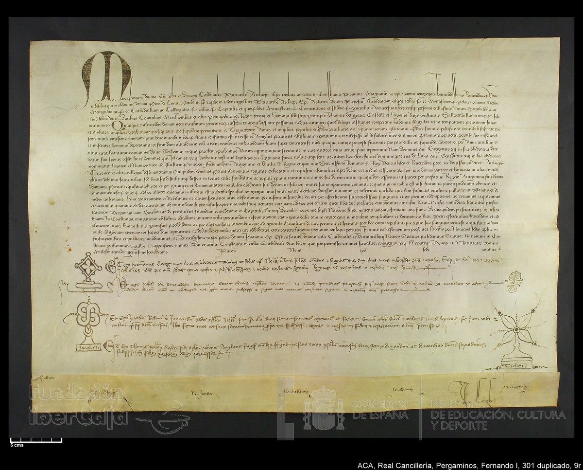 Carp.338,n301 dupl9r