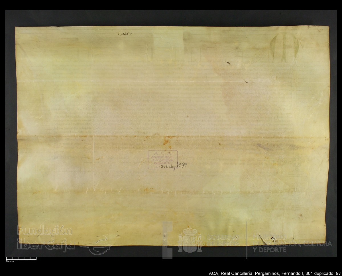 Carp.338,n301 dupl9v