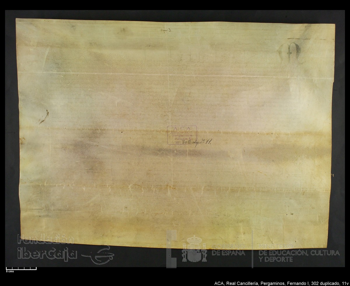 Carp.338,n302 dupl11v